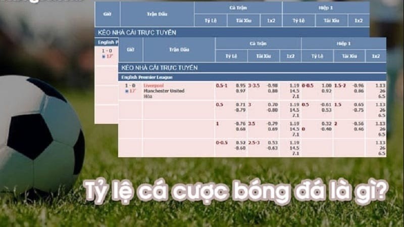 Tỷ lệ kèo bóng đá là gì? Hướng dẫn cách xem chuẩn và chính xác nhất